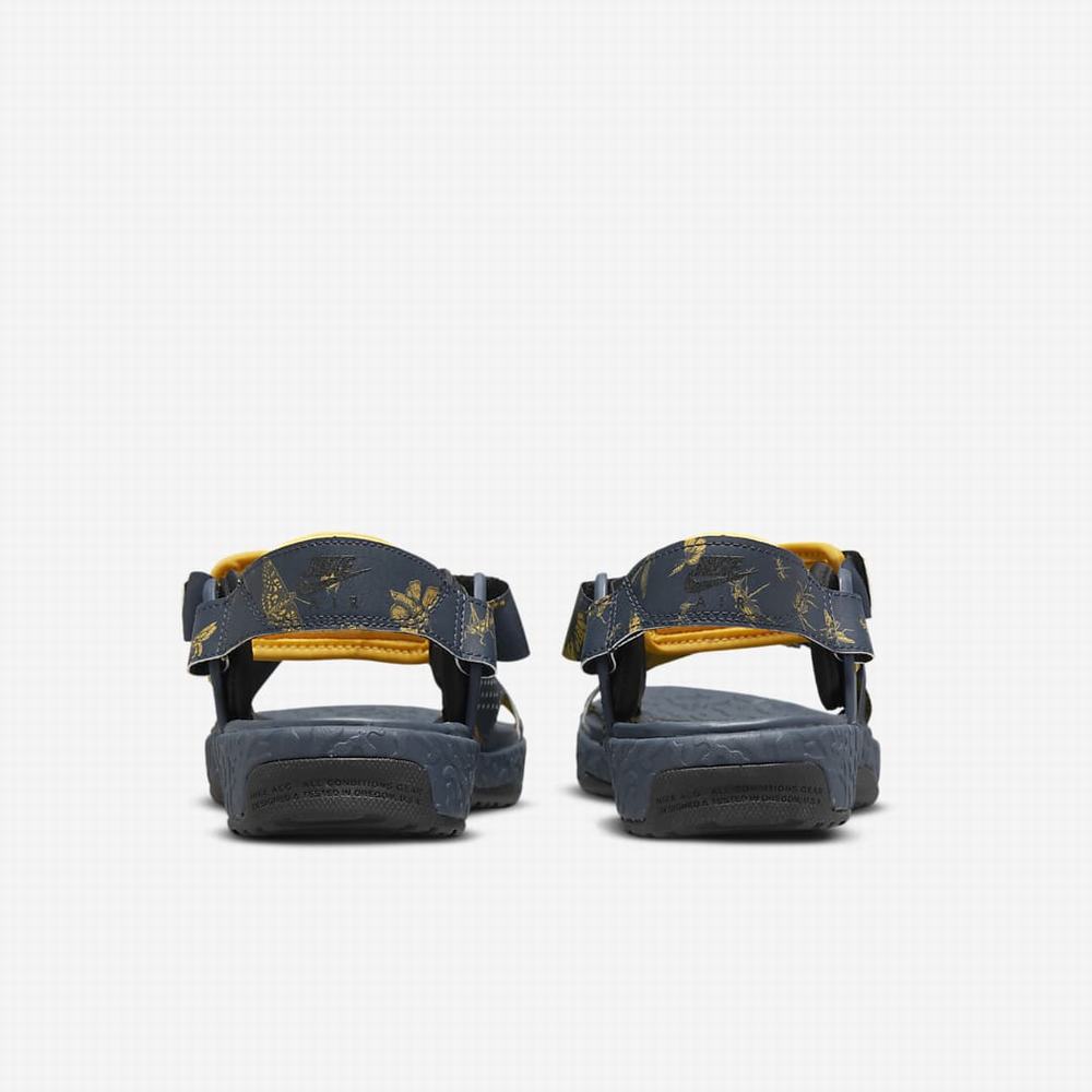 Nike Air Deschutz+ SE Férfi Utcai Cipő Sötétlila Sötétszürke | NI4891-Y12