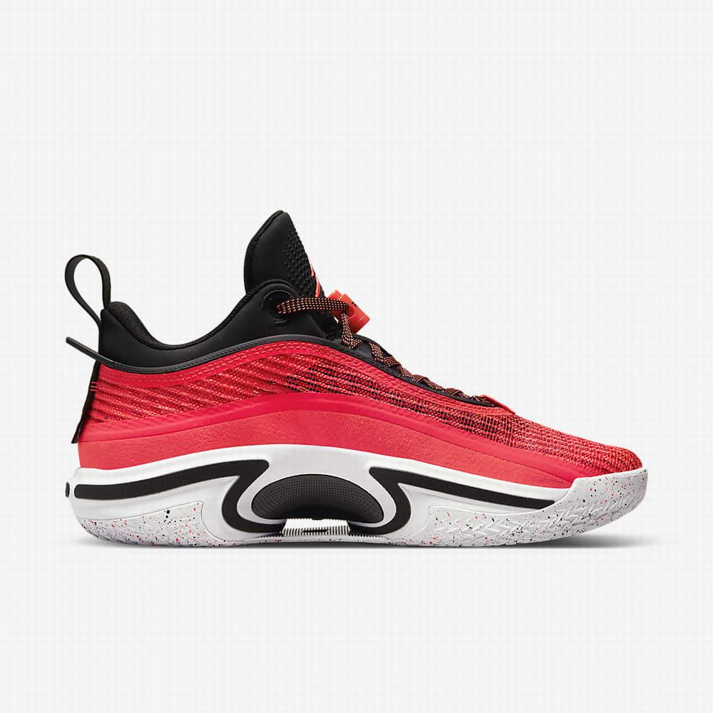 Nike Air Jordan XXXVI Low Férfi Kosárlabda Cipő Piros Fekete Fehér Piros | NI2971-B48