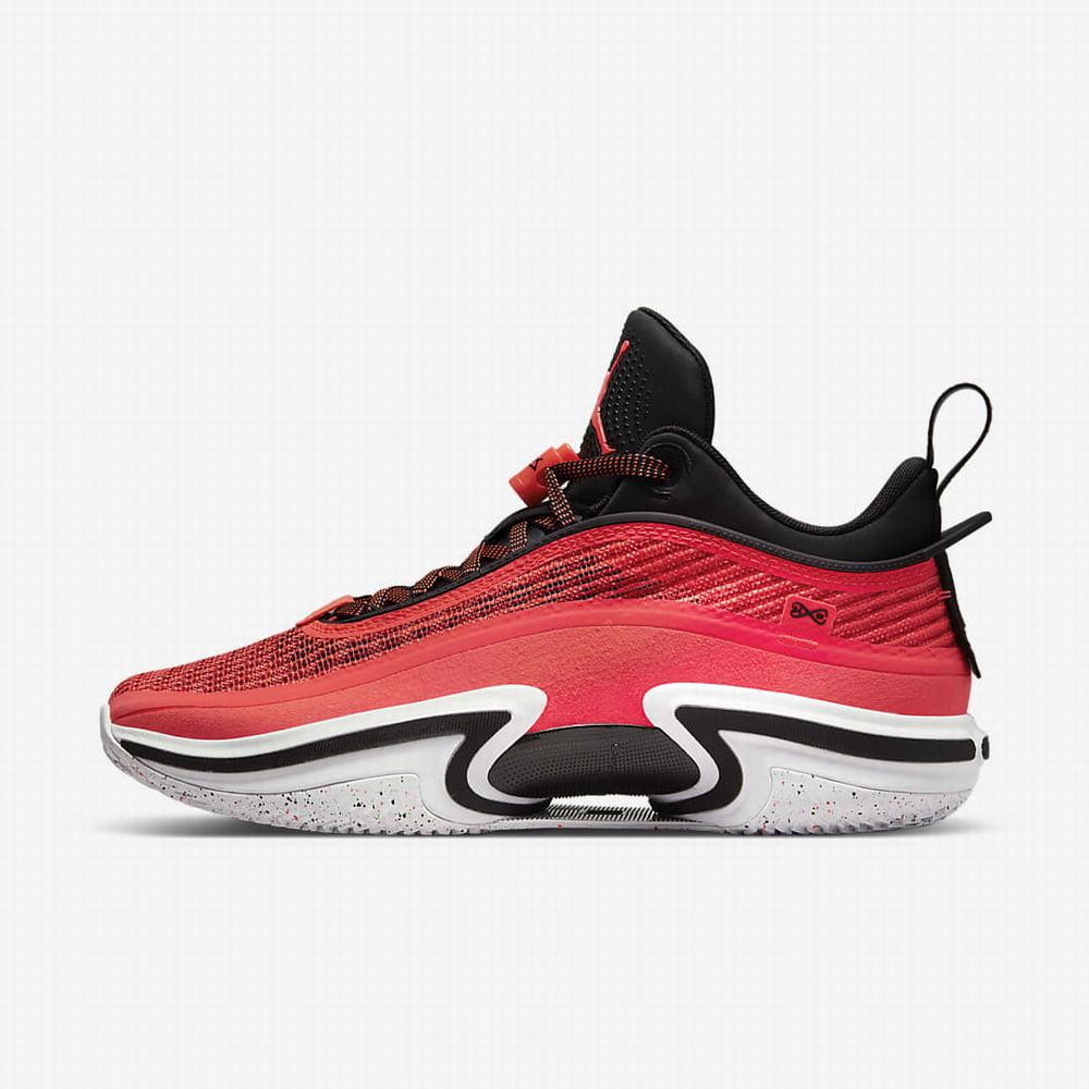 Nike Air Jordan XXXVI Low Férfi Kosárlabda Cipő Piros Fekete Fehér Piros | NI2971-B48