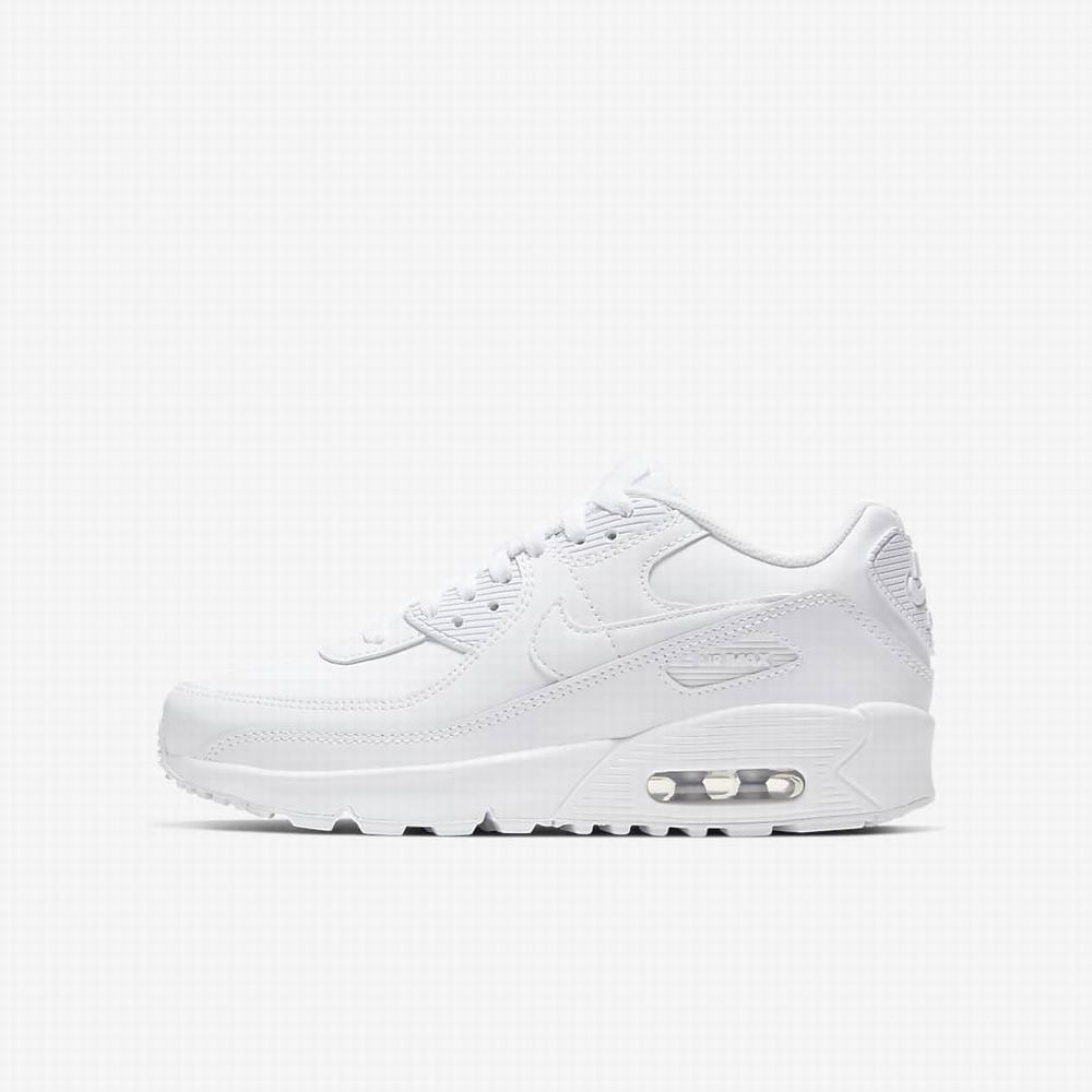 Nike Air Max 90 LTR Gyerek Utcai Cipő Fehér Metal Titán Fehér | NI3691-K19