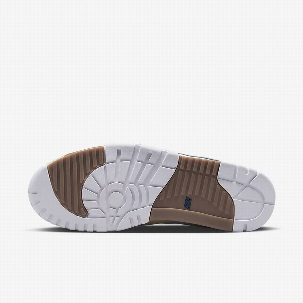 Nike Air Trainer 1 Férfi Utcai Cipő Szürke Világos Zöld Barna Fehér Kék | NI7145-Q58
