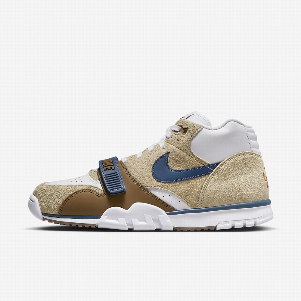 Nike Air Trainer 1 Férfi Utcai Cipő Szürke Világos Zöld Barna Fehér Kék | NI7145-Q58