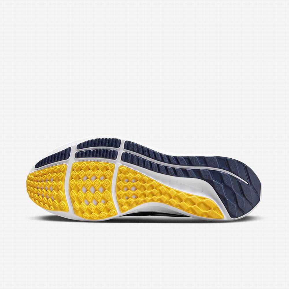 Nike Air Zoom Pegasus 39 (Michigan) Férfi Utcai Cipő Sötétkék Fehér | NI2956-D09