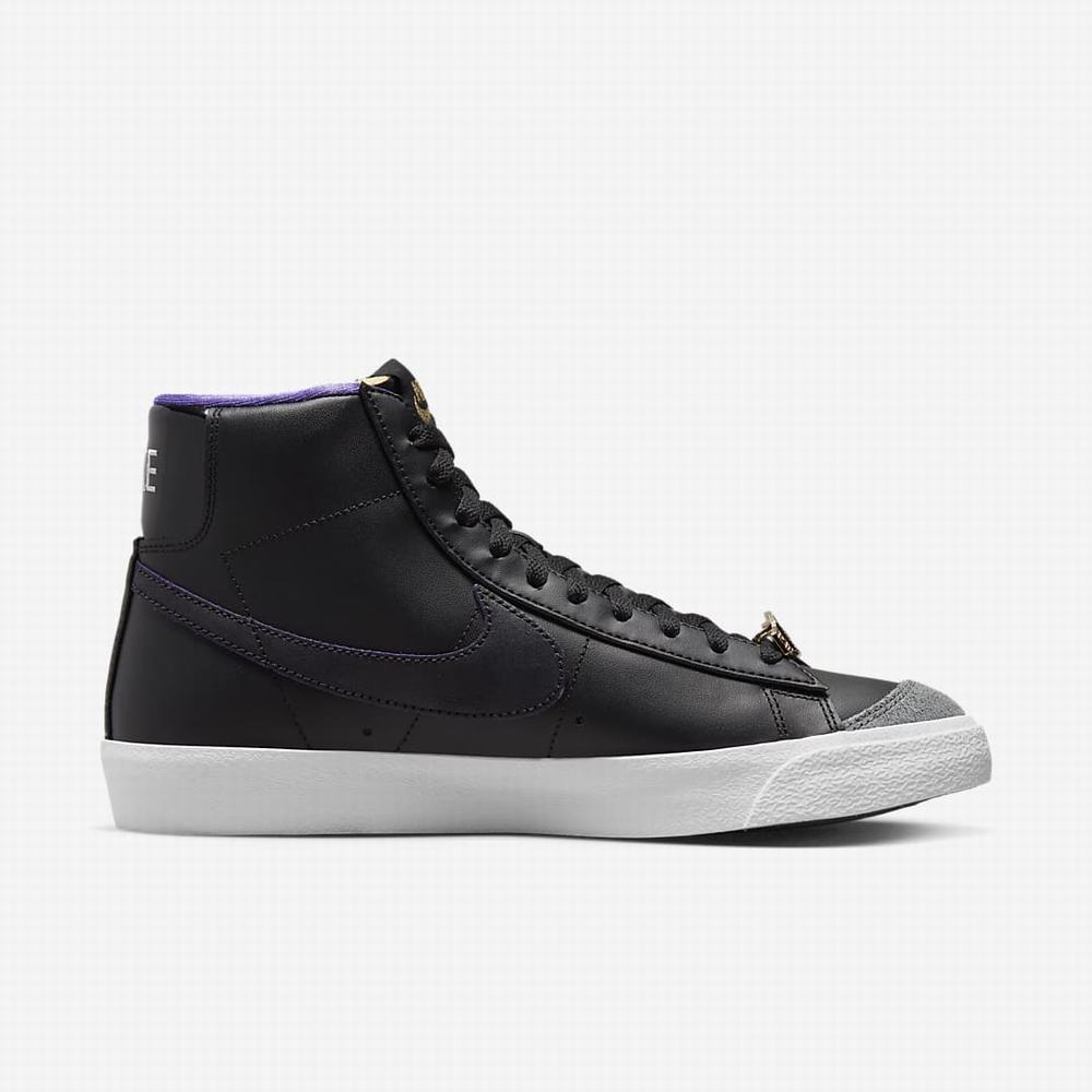 Nike Blazer Mid '77 EMB Férfi Utcai Cipő Fekete Szürke Fehér Lila | NI6539-H15