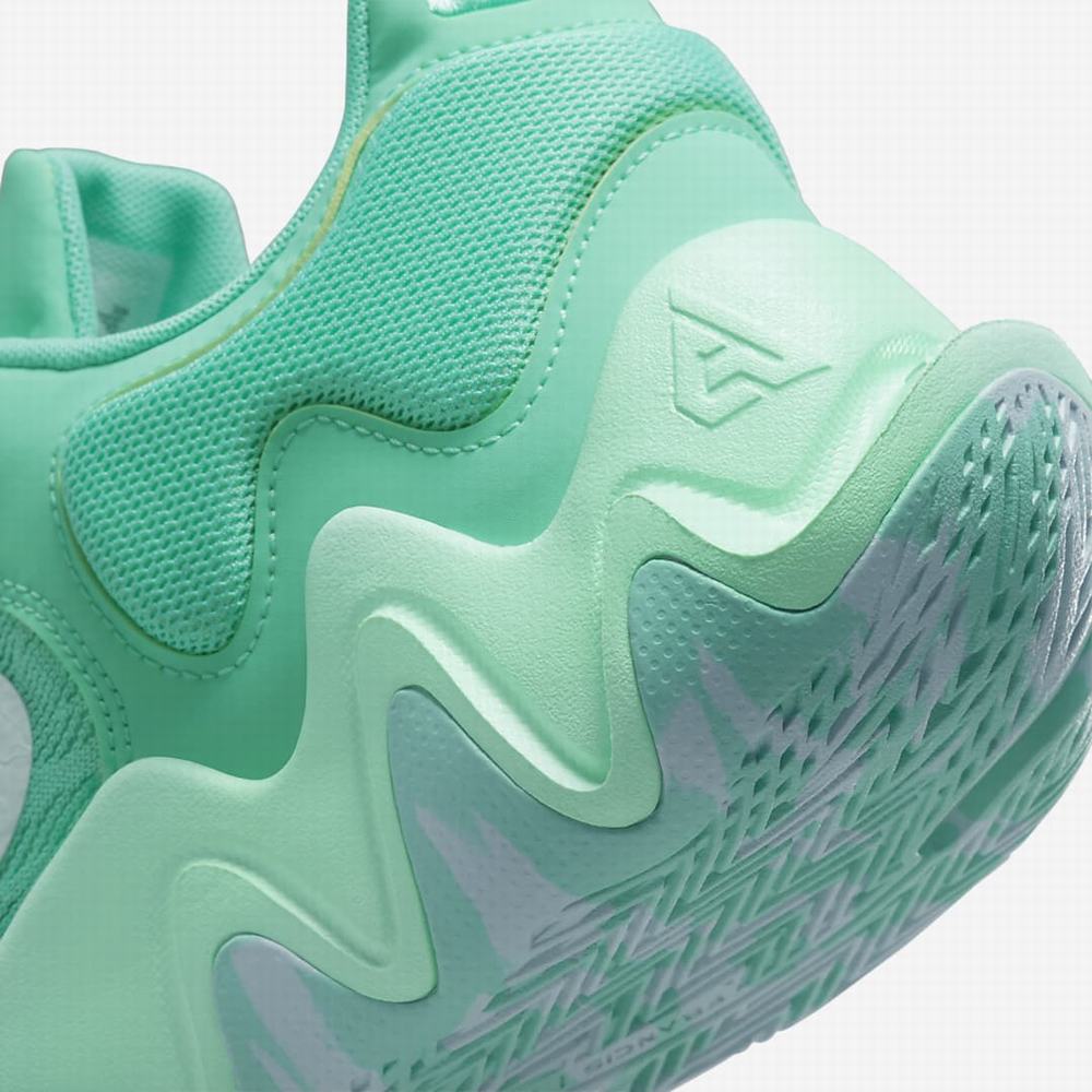Nike Giannis Immortality 2 Férfi Kosárlabda Cipő Zöld Menta Fehér | NI1648-G90