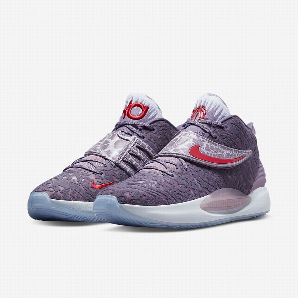 Nike KD14 Női Kosárlabda Cipő Színes | NI3574-V76