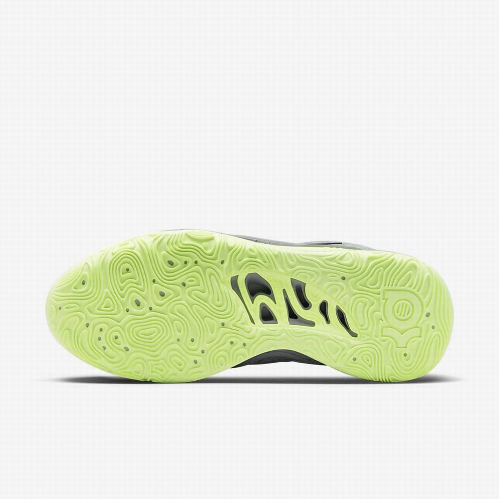 Nike KD15 (Team) Női Kosárlabda Cipő Szürke Szürke Fehér | NI0495-F36
