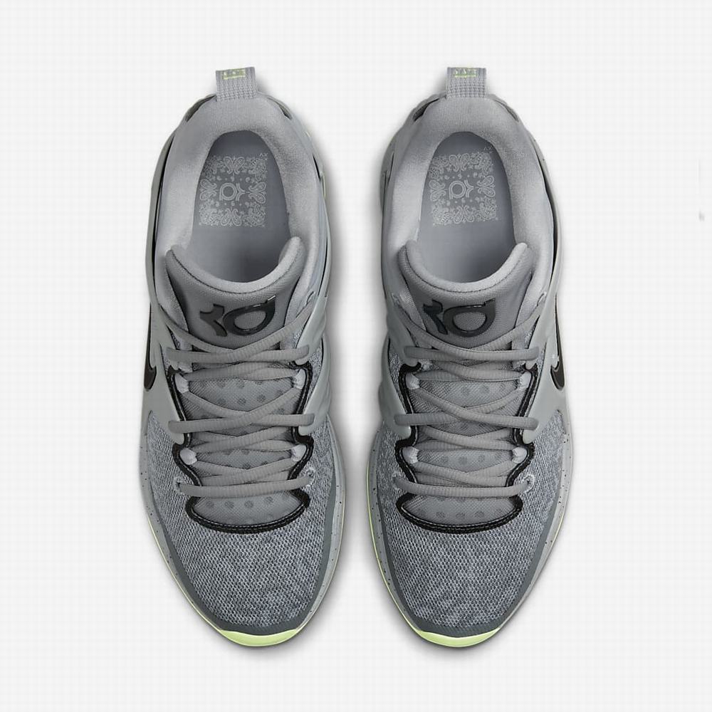Nike KD15 (Team) Női Kosárlabda Cipő Szürke Szürke Fehér | NI0495-F36