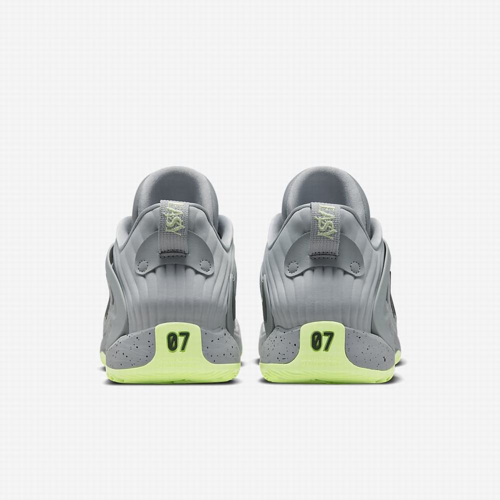 Nike KD15 (Team) Női Kosárlabda Cipő Szürke Szürke Fehér | NI0495-F36