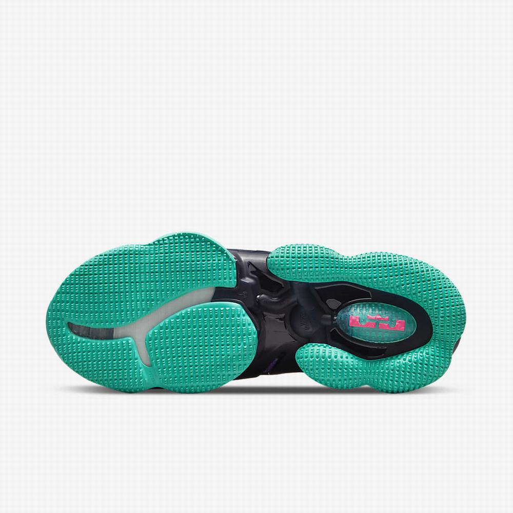 Nike LeBron 19 Férfi Kosárlabda Cipő Lila Türkiz Rózsaszín | NI4210-X64