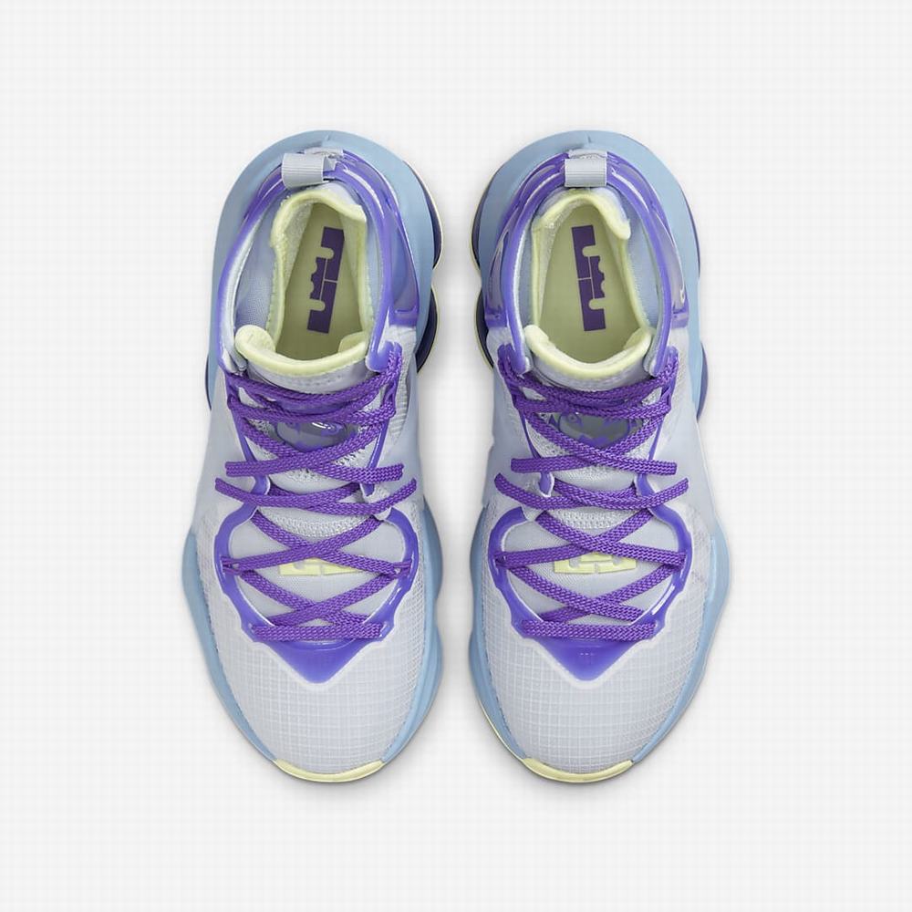 Nike LeBron 19 Gyerek Kosárlabda Cipő Kék Lila | NI1762-M10