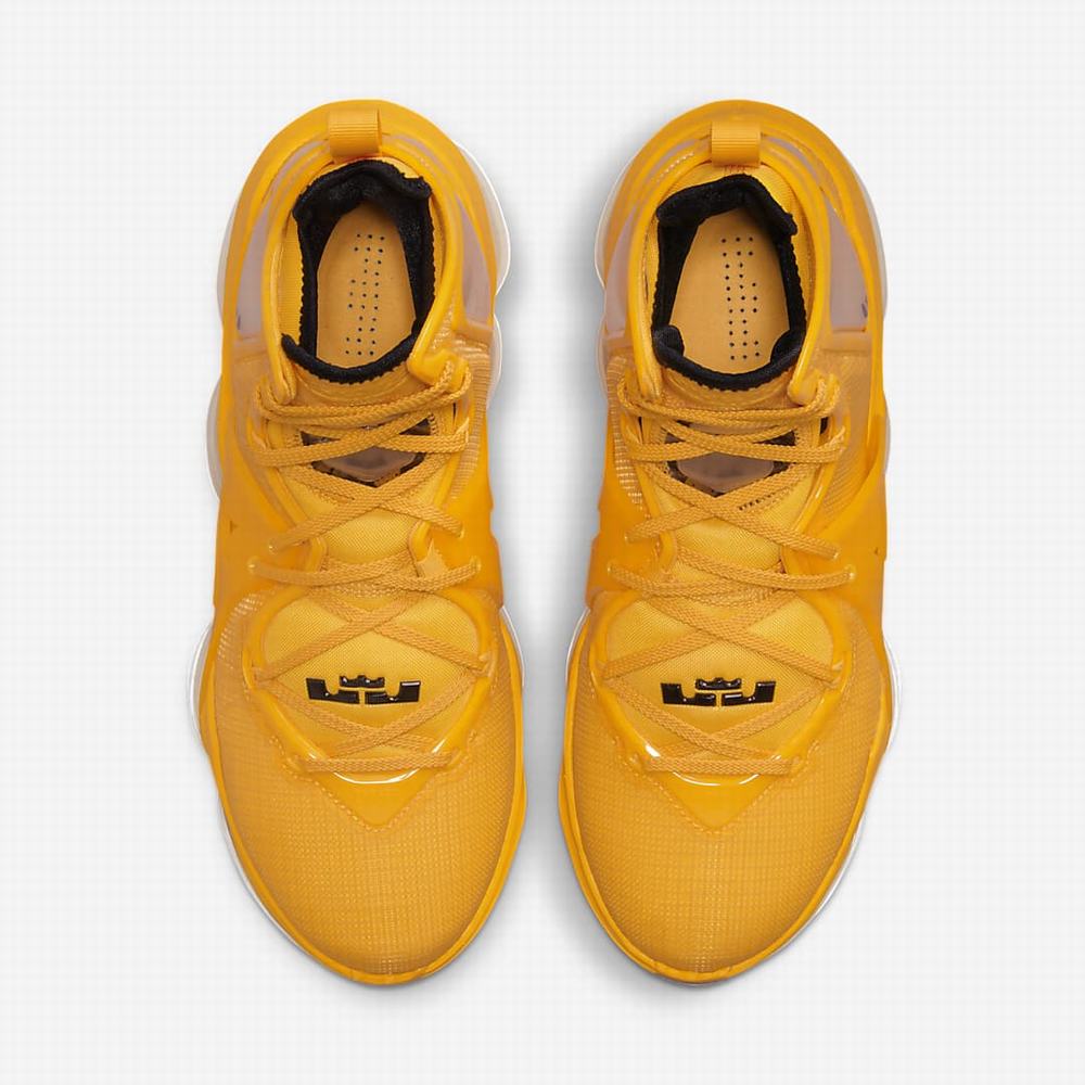 Nike LeBron 19 Női Kosárlabda Cipő Arany Fekete | NI9613-Z03