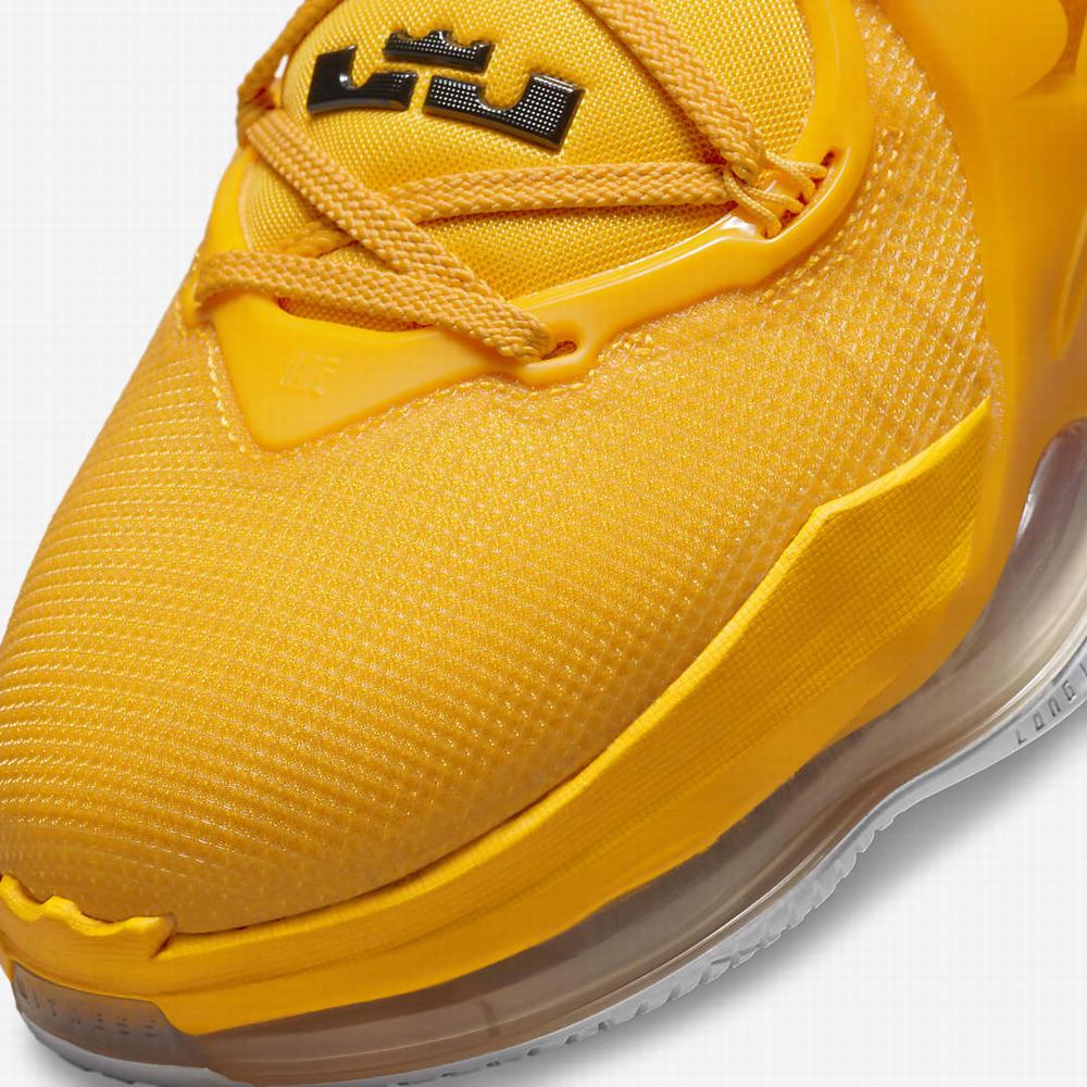 Nike LeBron 19 Női Kosárlabda Cipő Arany Fekete | NI9613-Z03