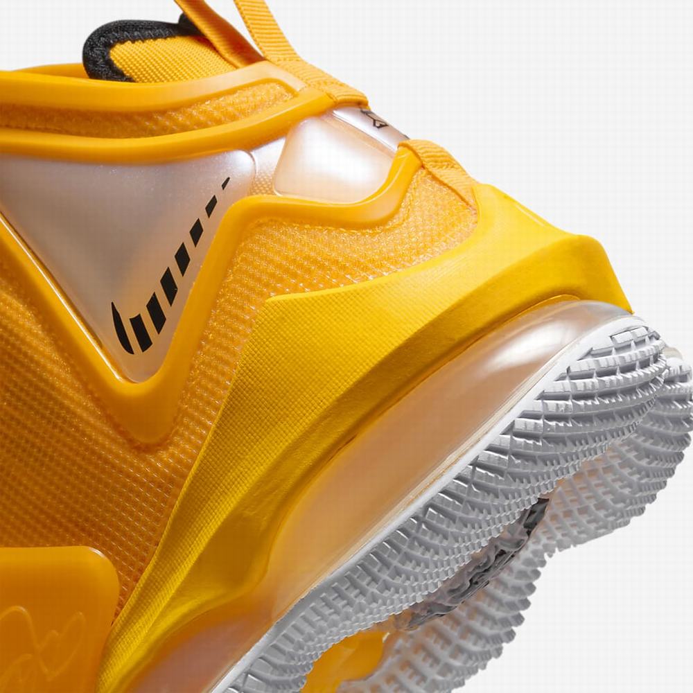 Nike LeBron 19 Női Kosárlabda Cipő Arany Fekete | NI9613-Z03