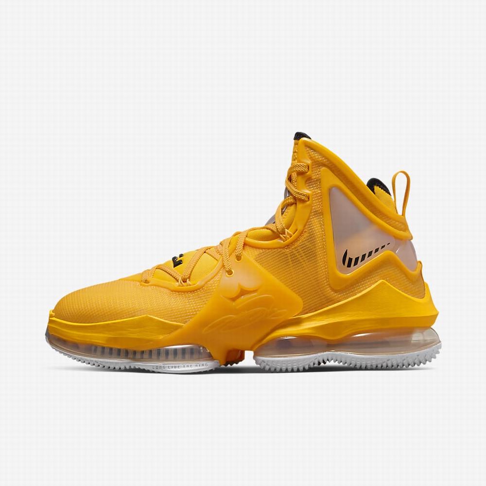 Nike LeBron 19 Női Kosárlabda Cipő Arany Fekete | NI9613-Z03