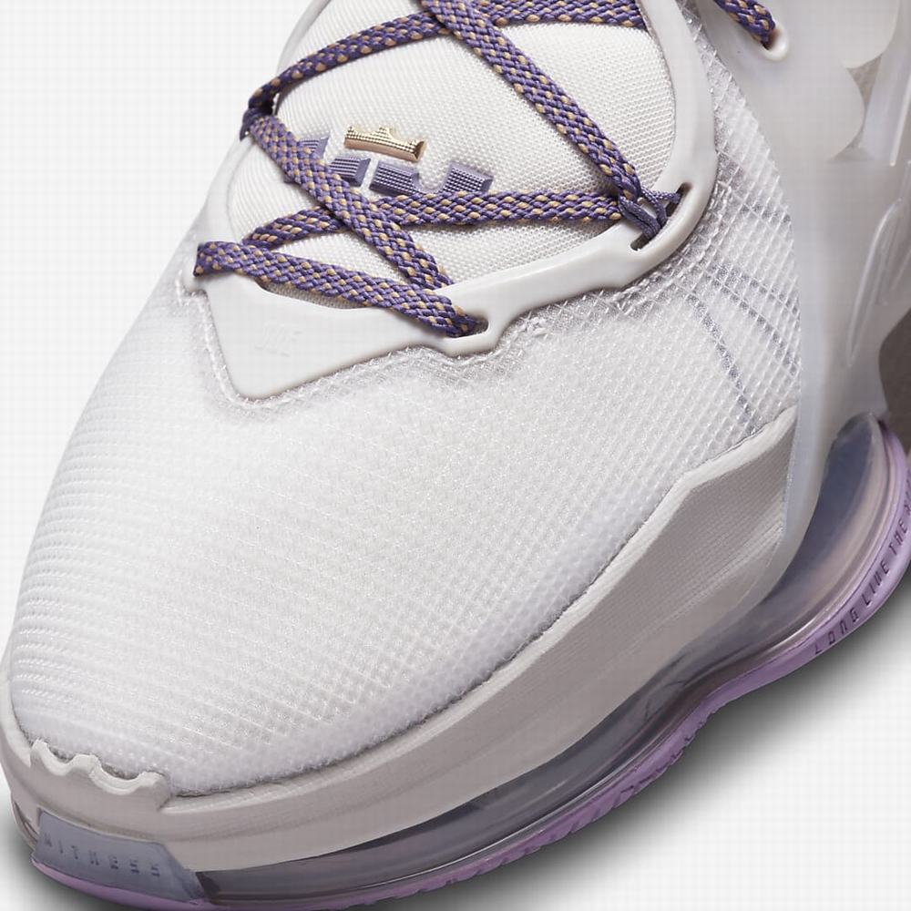 Nike LeBron 19 Női Kosárlabda Cipő Bézs Lila | NI2945-V08