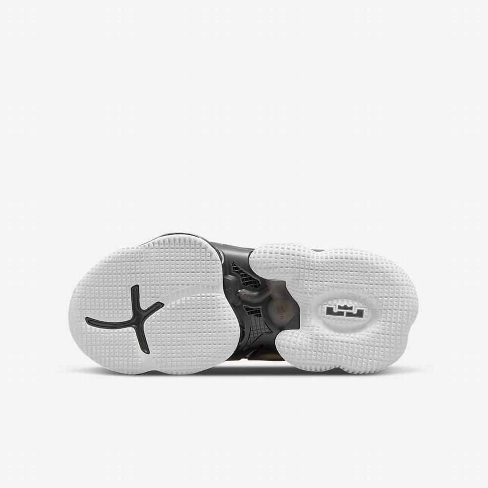 Nike LeBron 19 SE Gyerek Kosárlabda Cipő Fehér Fekete Metal Arany | NI2174-C35