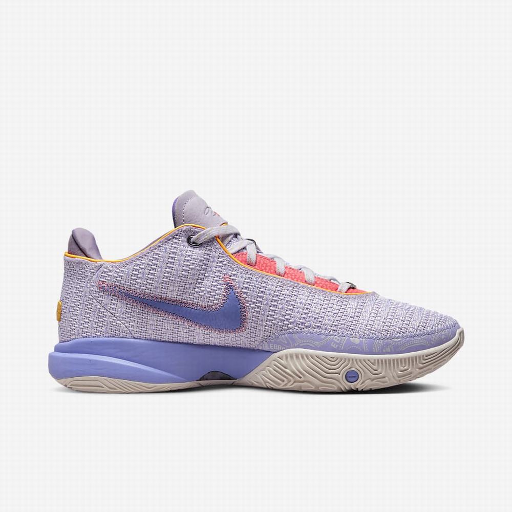 Nike LeBron XX 