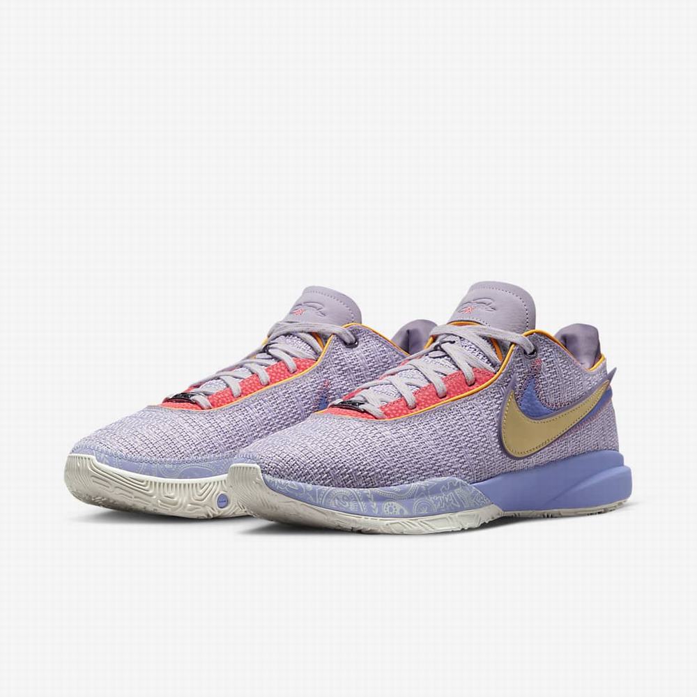 Nike LeBron XX 