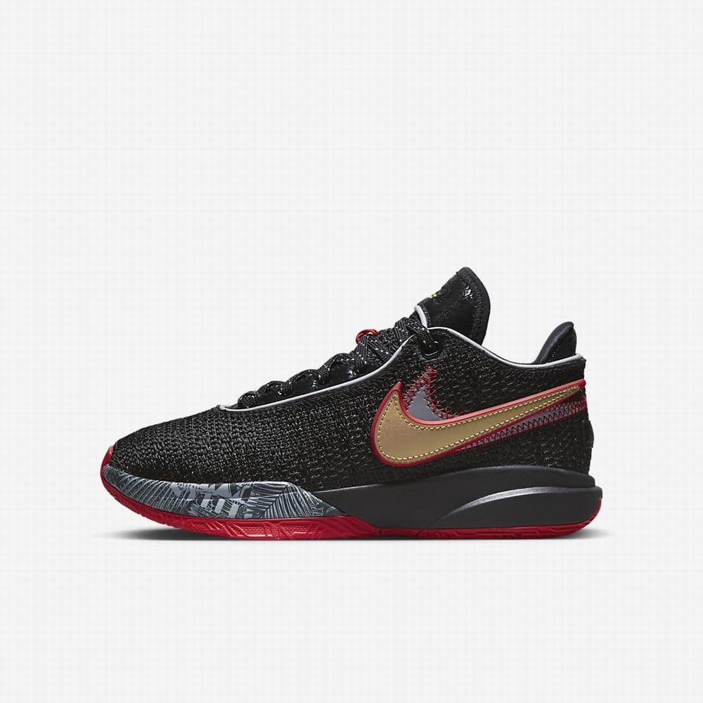 Nike LeBron XX \