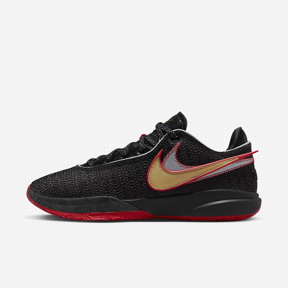 Nike LeBron XX \