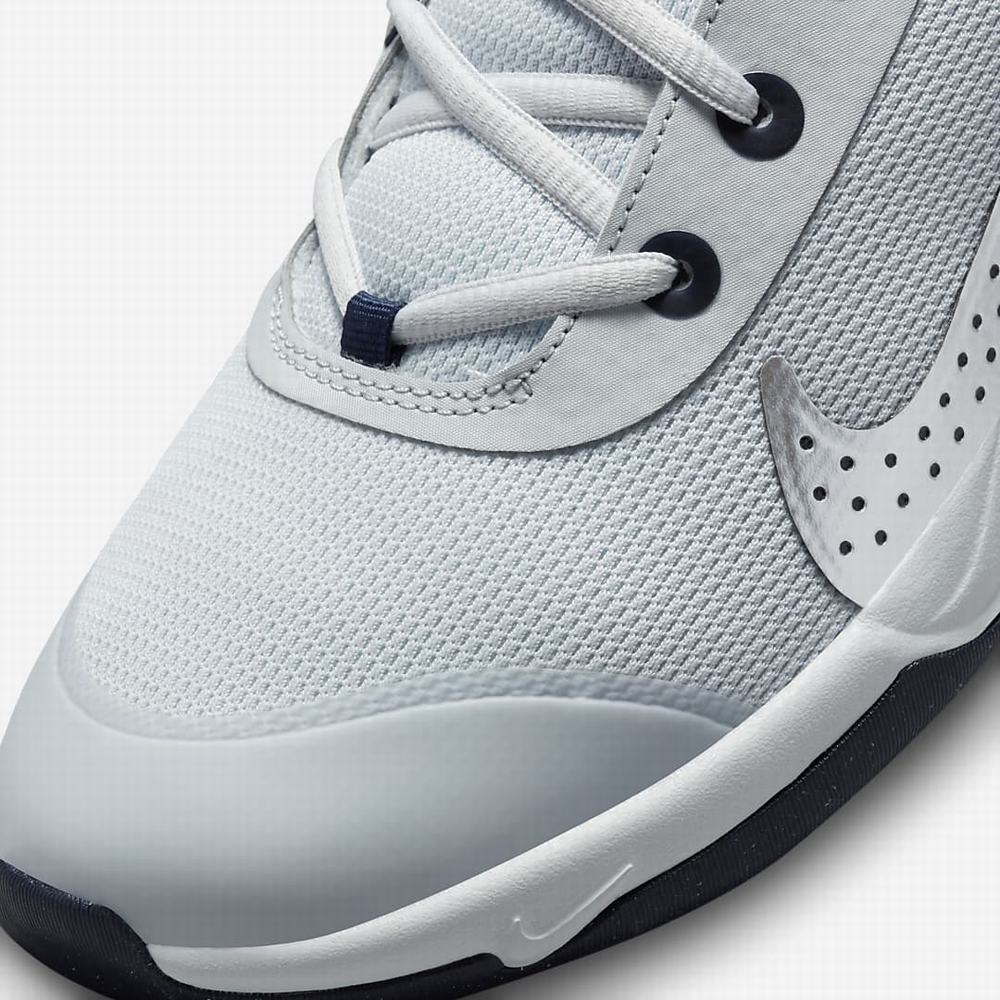 Nike Omni Multi-Court Gyerek Teniszcipő Platina Sötétkék Metal Titán | NI9145-G09
