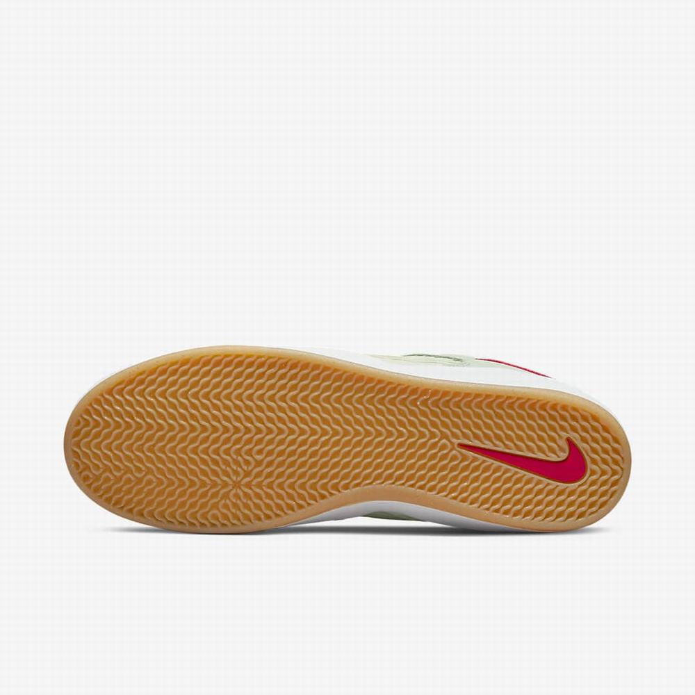 Nike SB Ishod Wair Premium Férfi Deszkás Cipő Zöld Piros | NI4372-D98