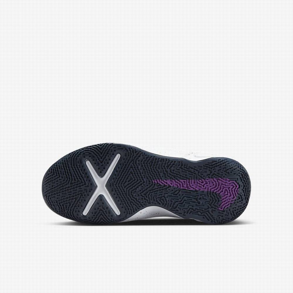 Nike Team Hustle D 10 SE Gyerek Kosárlabda Cipő Lila Kék Lila Metal Titán | NI1587-M40