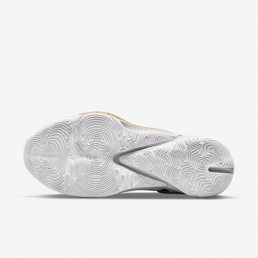 Nike Zoom Freak 3 Férfi Kosárlabda Cipő Szürke Szürke Fekete | NI4508-V35